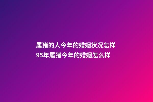 属猪的人今年的婚姻状况怎样 95年属猪今年的婚姻怎么样-第1张-观点-玄机派